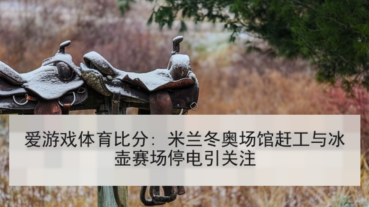 爱游戏体育比分: 米兰冬奥场馆赶工与冰壶赛场停电引关注