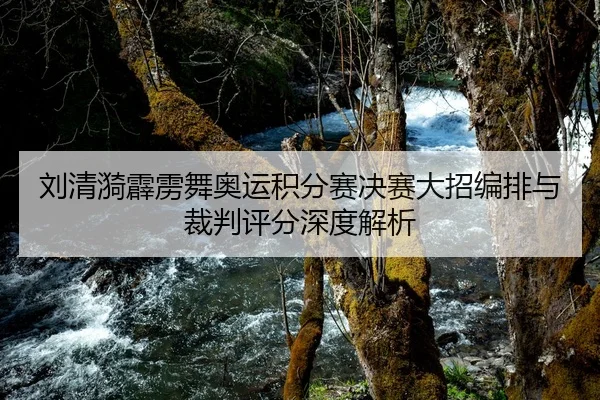 liu-qing-yi-pi-li-wu-ao-yun-ji-fen-sai-jue-sai-da-zhao-bian-pai-yu-cai-pan-ping-fen-shen-du-jie-xi-2-908.jpg