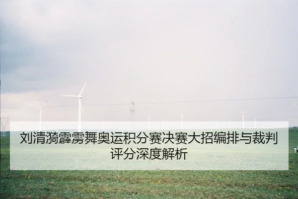 liu-qing-yi-pi-li-wu-ao-yun-ji-fen-sai-jue-sai-da-zhao-bian-pai-yu-cai-pan-ping-fen-shen-du-jie-xi-3-459.jpg