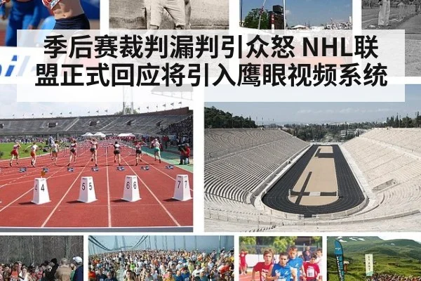 季后赛裁判漏判引众怒 NHL联盟正式回应将引入鹰眼视频系统