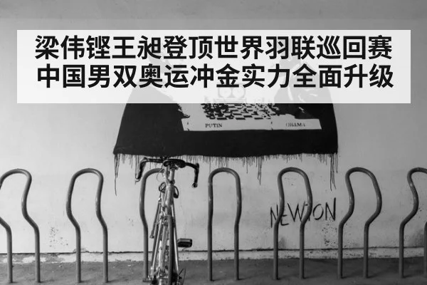 梁伟铿王昶登顶世界羽联巡回赛中国男双奥运冲金实力全面升级